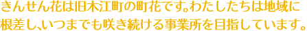 きんせん花は旧木江町の町花です。わたしたちは地域に根差し、いつまでも咲き続ける事業所を目指しています。