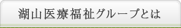 湖山医療福祉グループとは