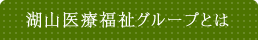 湖山医療福祉グループとは